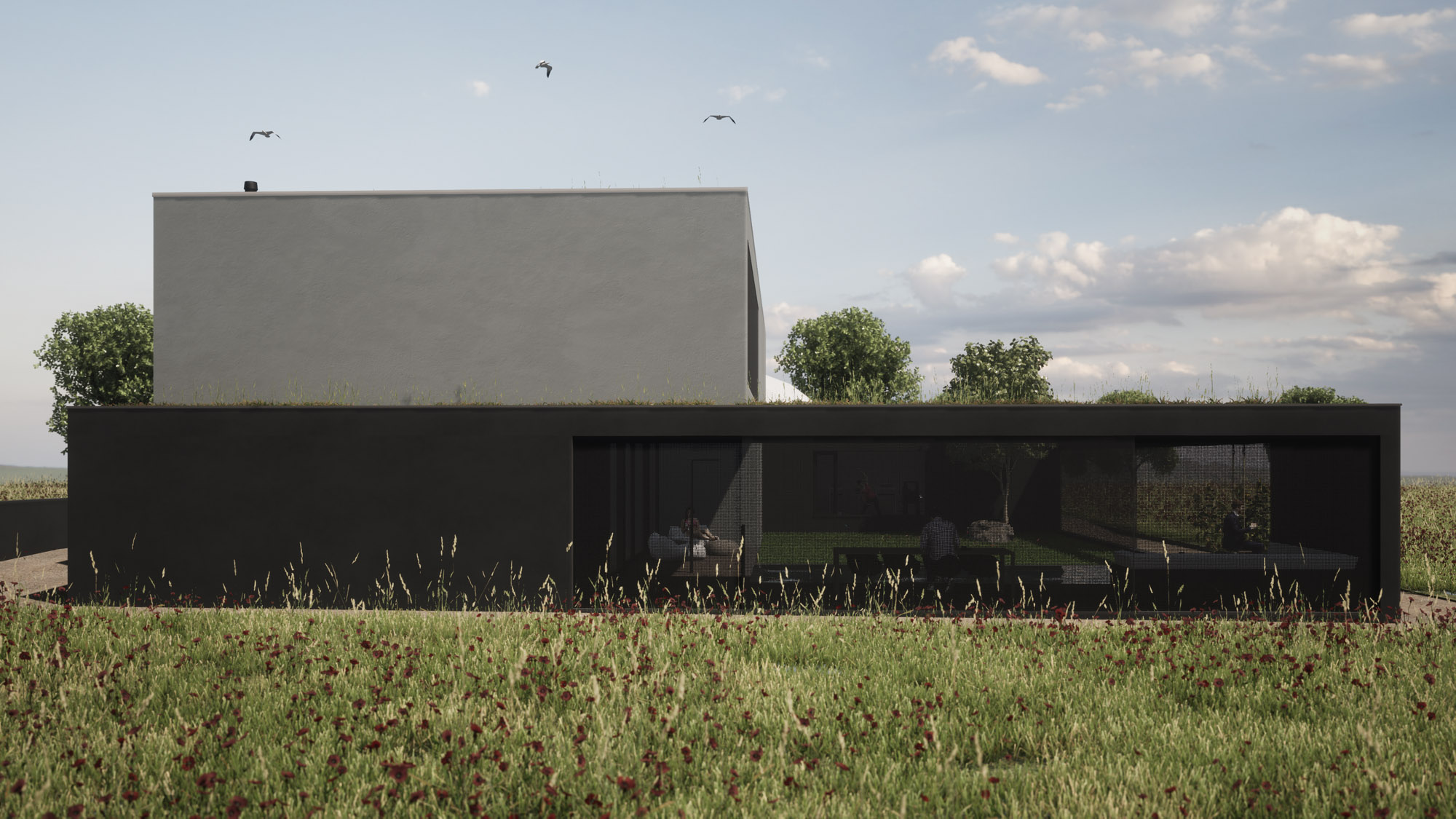 Bild6